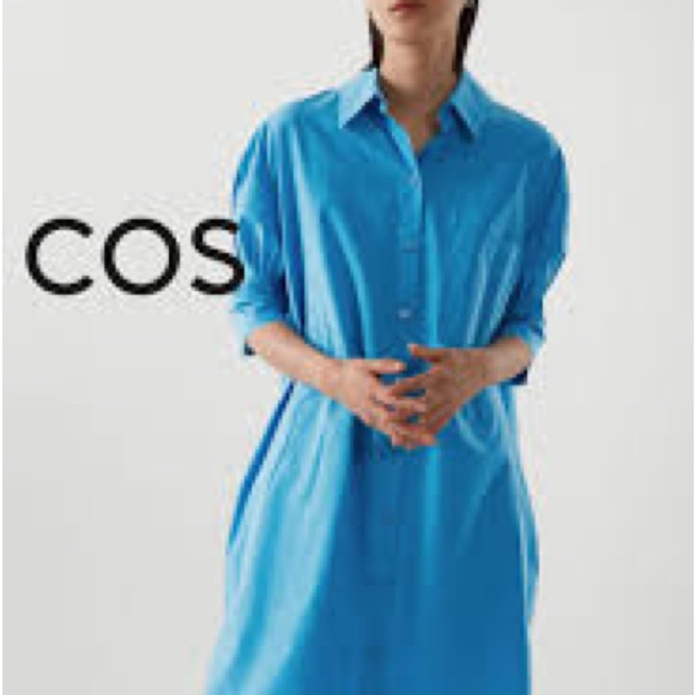 COS Blue Shirt Dress